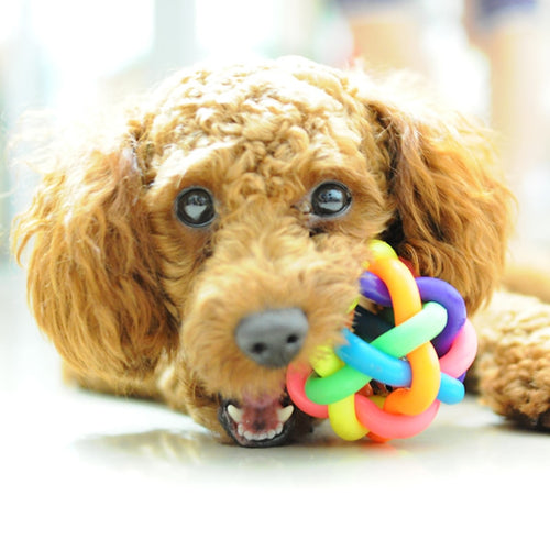 5cm Colorful Rainbow Pet Bell Ball