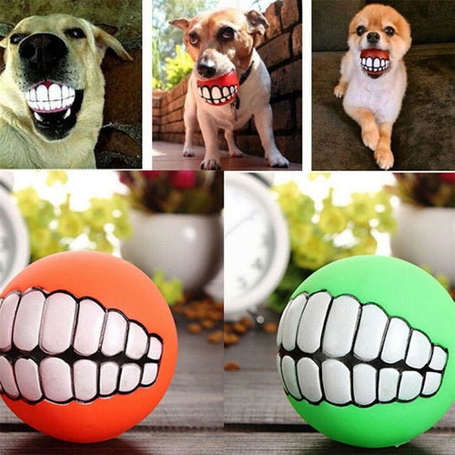 Funny Pets Dog Puppy Cat Ball